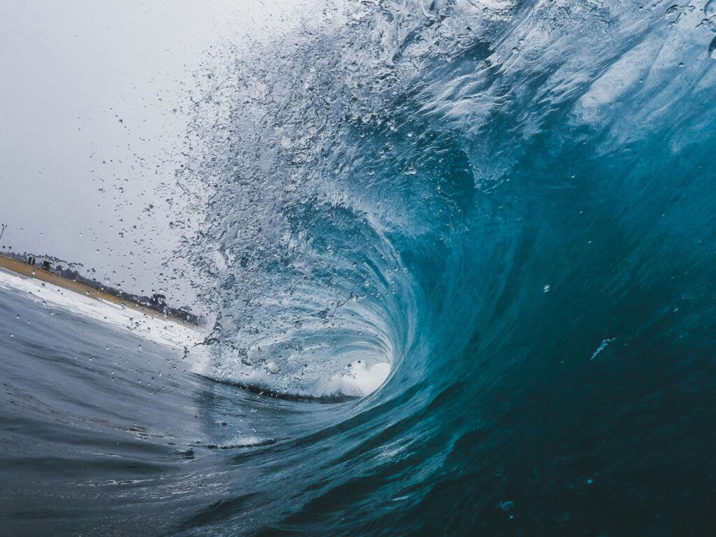Ride the Wave